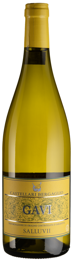 Вино Castellari Bergaglio Gavi DOCG Salluvii виноградное натуральное сухое белое 0,75 л-32-mywater-stage.wvts.xyz