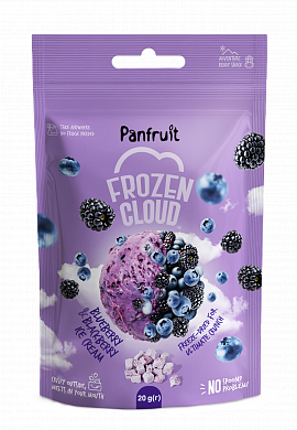 Сублімоване морозиво Panfruit Чорниця-ожина 20 г — фото 1