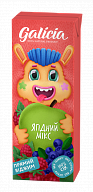 Сок Galicia Ягодный микс с мякотью 0,2 л-5-mywater-stage.wvts.xyz